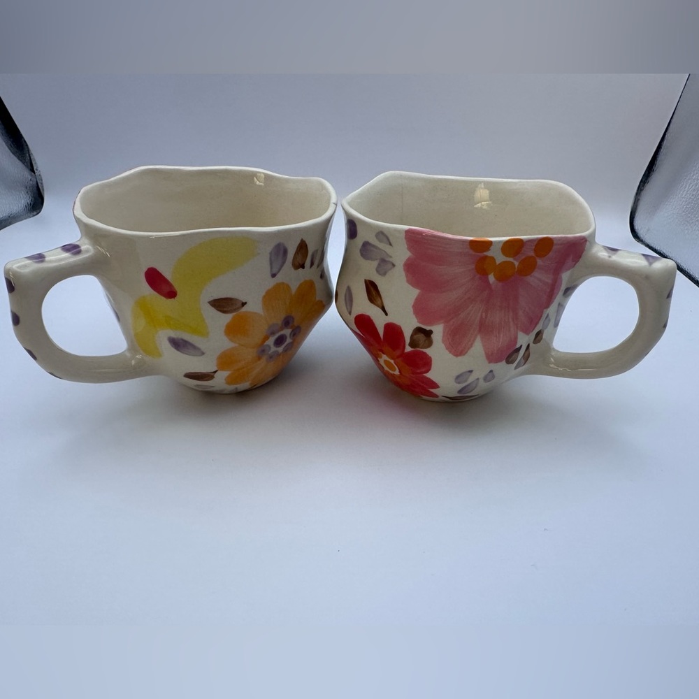 Hand Painted Floral Stoneware Mugs Set of 2